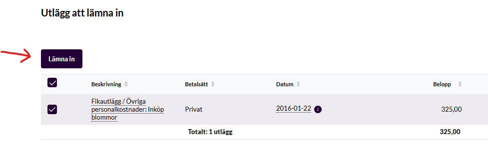 Utlägg (skärmbild 3 av 4)